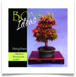 bcover_bonsai_ideas_800x600