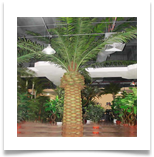 jArtificial-Tree-Phoenix-Canariensis-WAT-43-